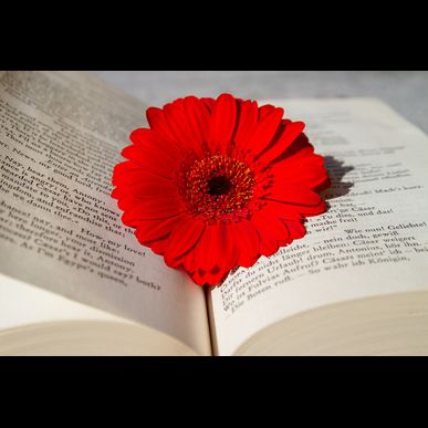 久留米市で血行を改善するなら当店へ